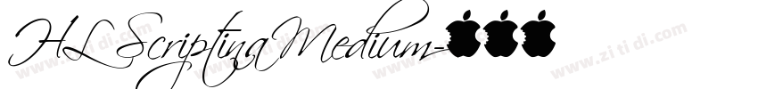 HL Scriptina Medium字体转换